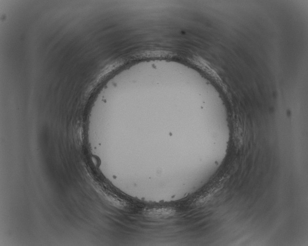 X0000067950063200605041836