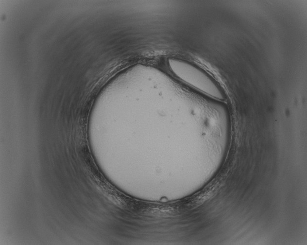 X0000067950065200605041836