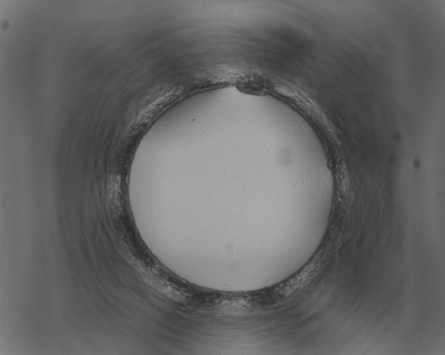 X0000067950066200605041836