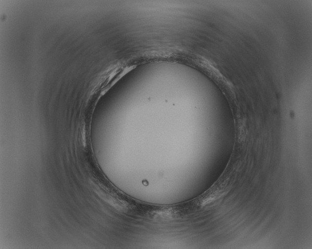 X0000067950068200605041836