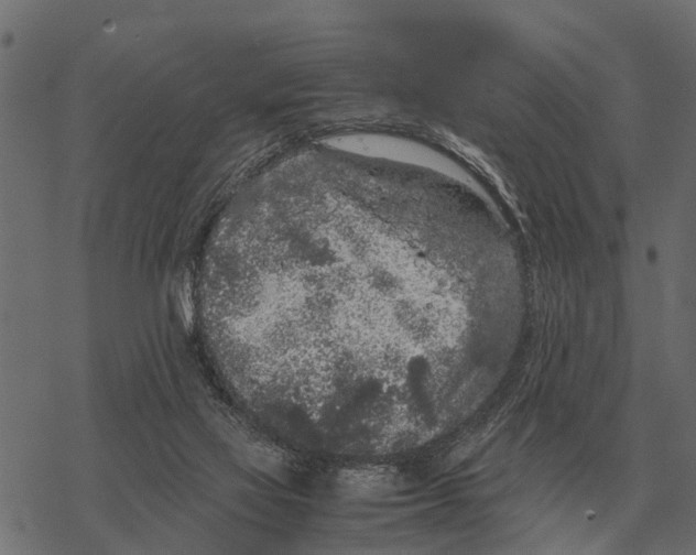 X0000067950069200605041836