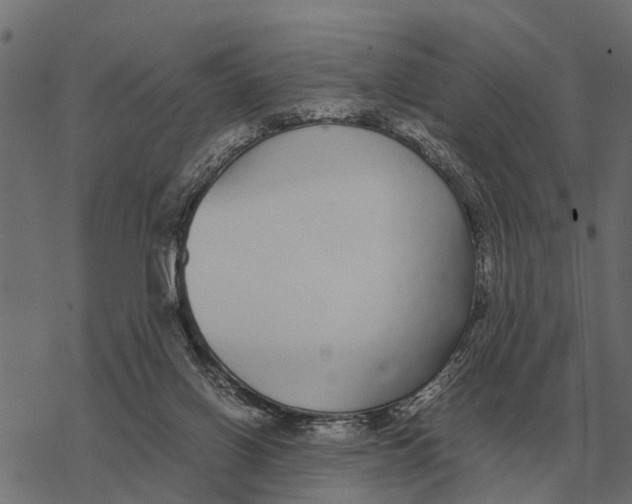 X0000067950070200605041836