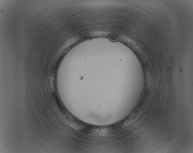 X0000067950071200605041836