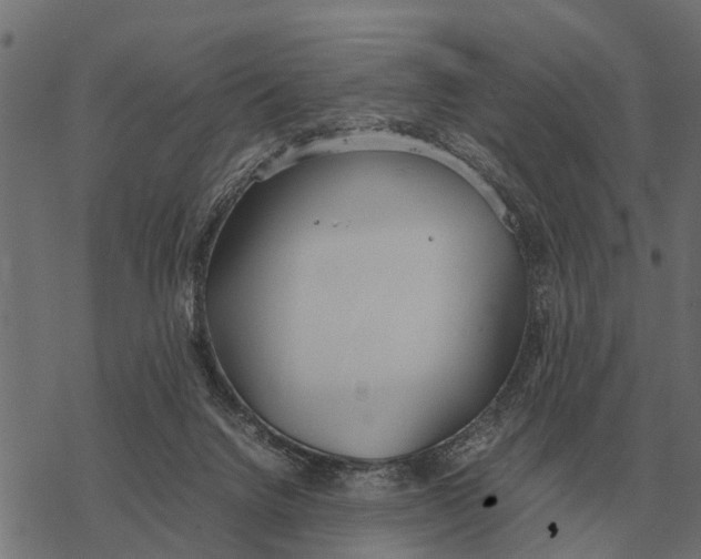 X0000067950072200605041836