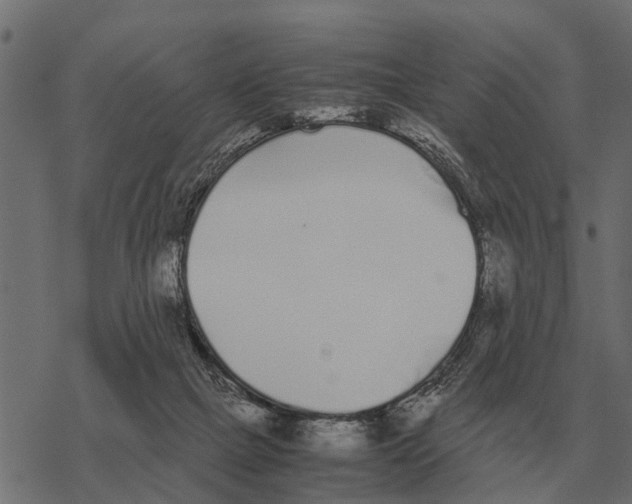 X0000067950073200605041836