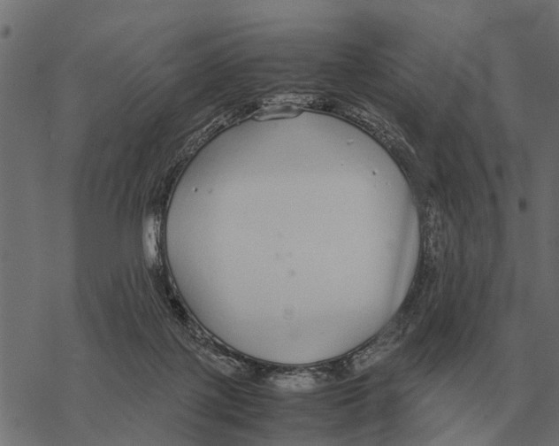 X0000067950075200605041836