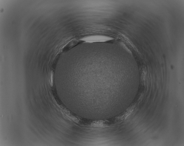 X0000067950076200605041836