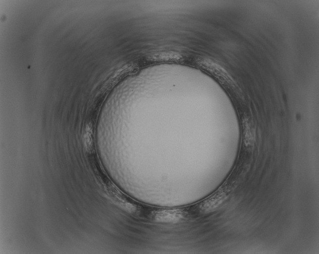 X0000067950077200605041836