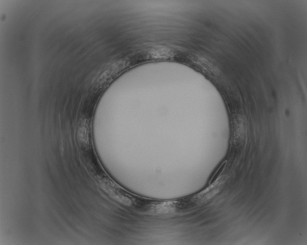 X0000067950078200605041836