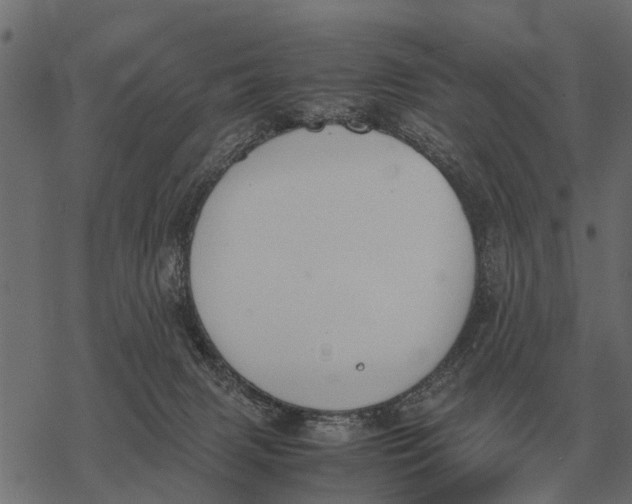 X0000067950079200605041836