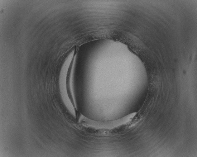 X0000067950080200605041836