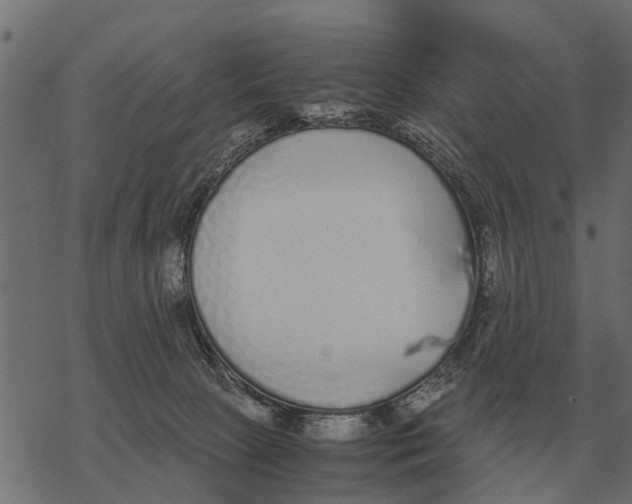 X0000067950081200605041836