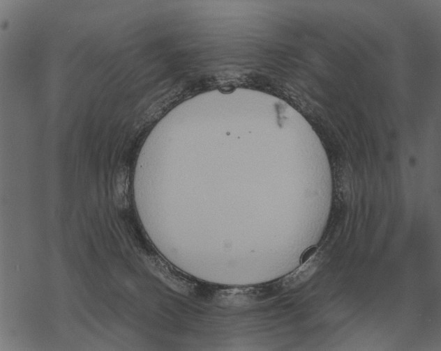 X0000067950082200605041836