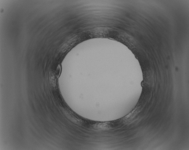 X0000067950086200605041837