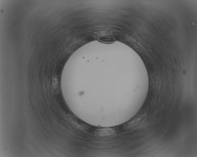 X0000067950087200605041837