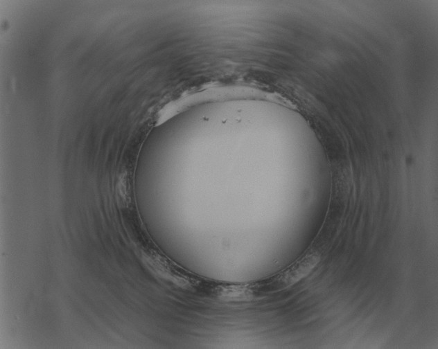 X0000067950088200605041837