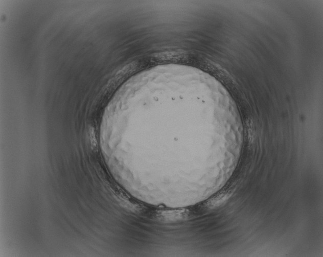 X0000067950089200605041837