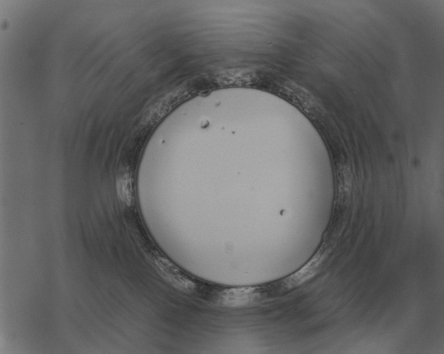 X0000067950090200605041837