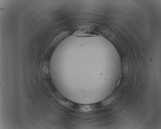 X0000067950091200605041837