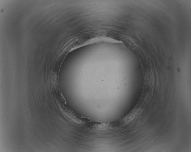 X0000067950092200605041837