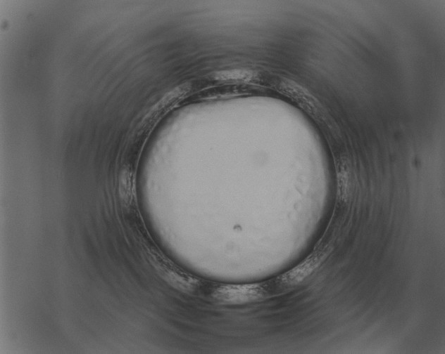 X0000067950093200605041837