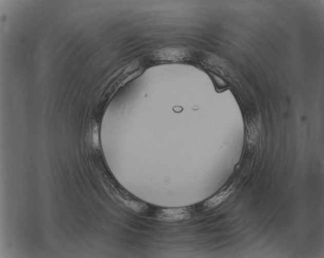 X0000067950095200605041837