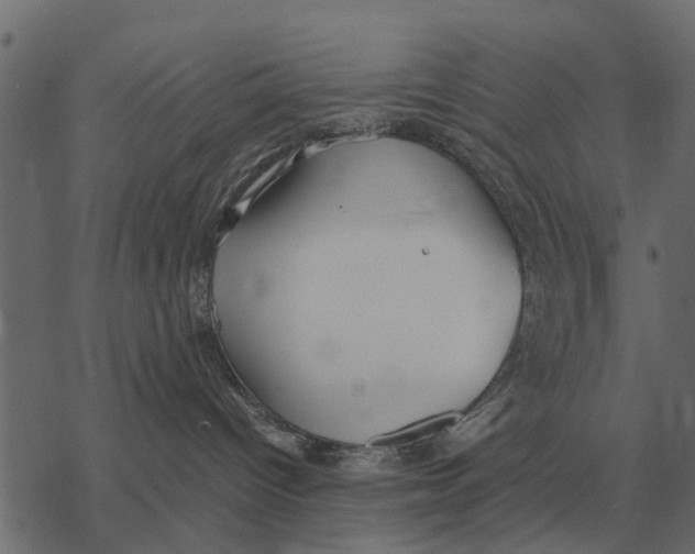 X0000067950096200605041837