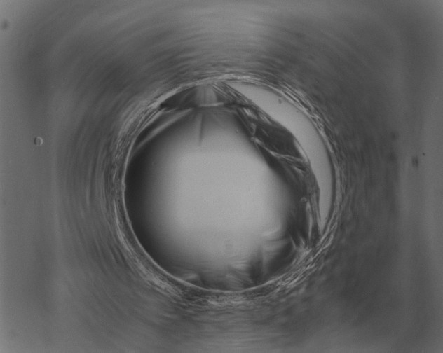 X0000067950097200605041836