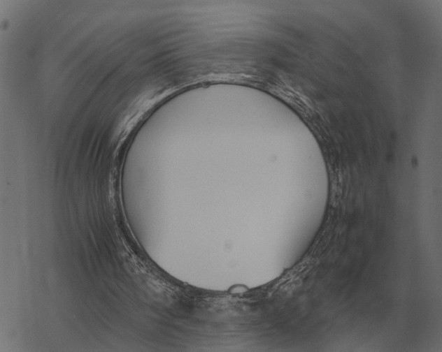 X0000067950098200605041836