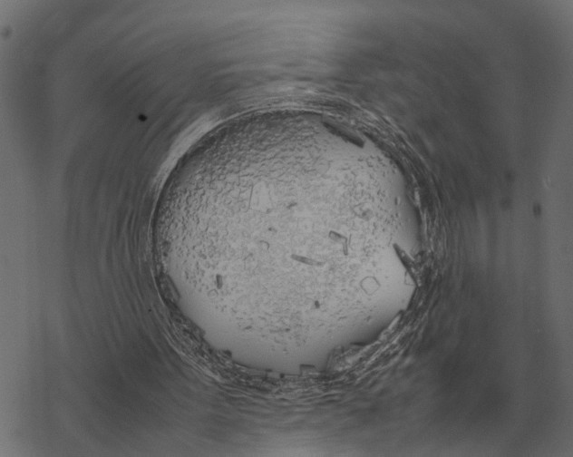 X0000067950099200605041836