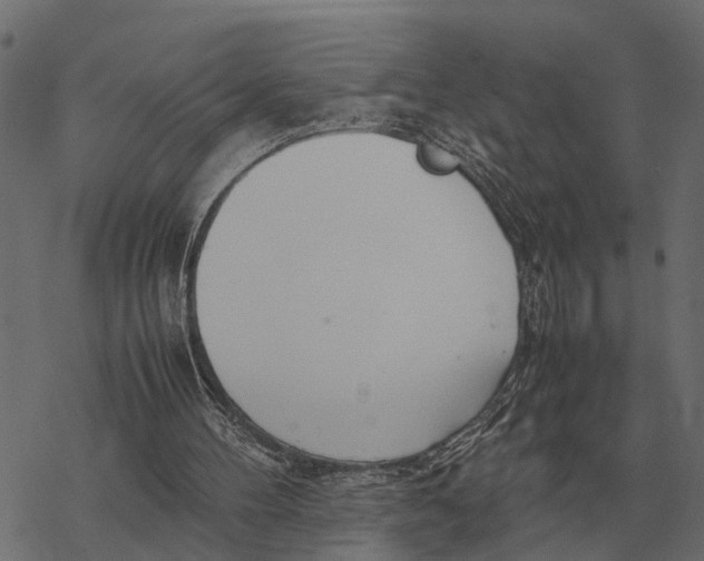 X0000067950100200605041836