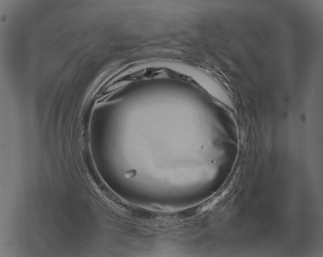 X0000067950101200605041836