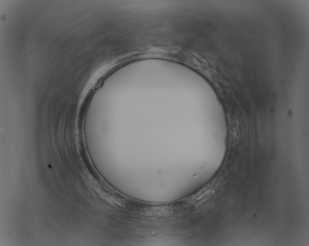 X0000067950102200605041836