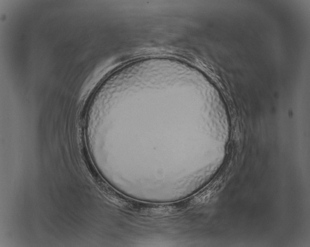 X0000067950103200605041836