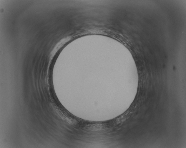 X0000067950104200605041836