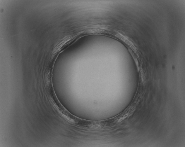 X0000067950105200605041836