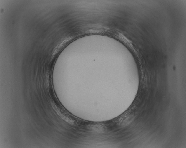 X0000067950106200605041836