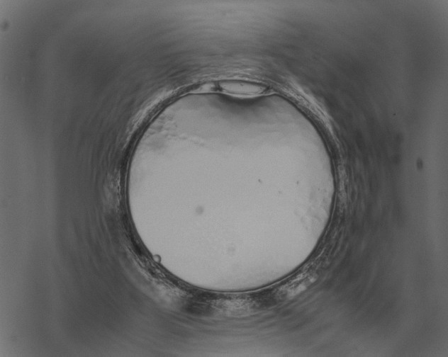 X0000067950107200605041836