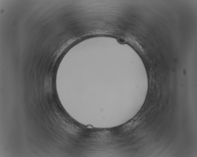 X0000067950108200605041836