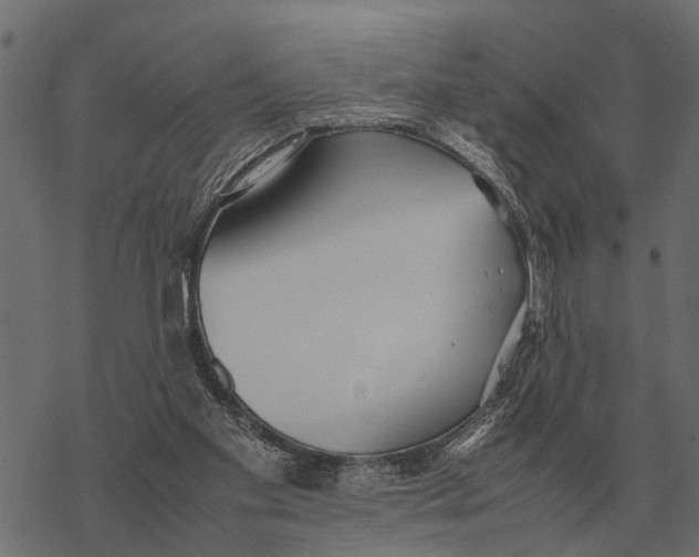 X0000067950109200605041836