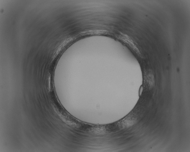 X0000067950110200605041836