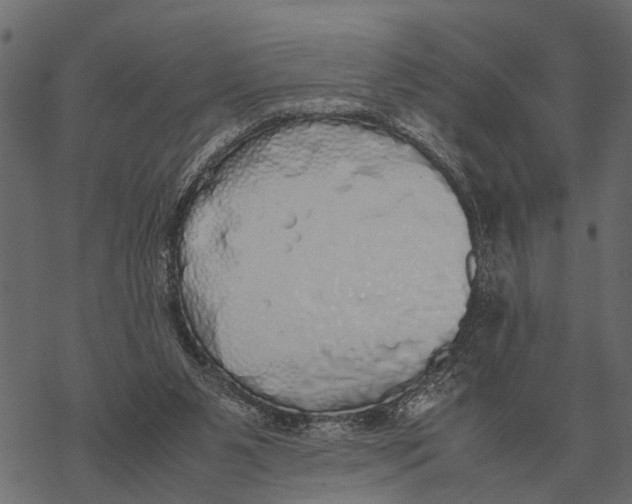 X0000067950111200605041836