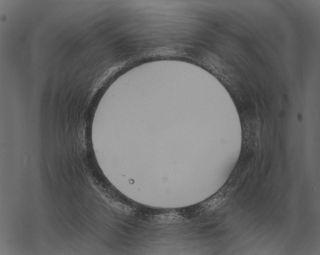 X0000067950112200605041836