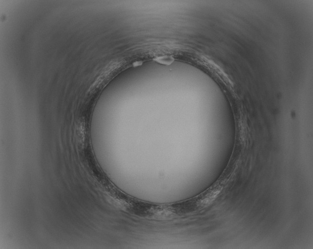 X0000067950113200605041836