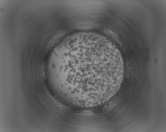 X0000067950114200605041836