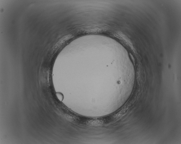 X0000067950115200605041836