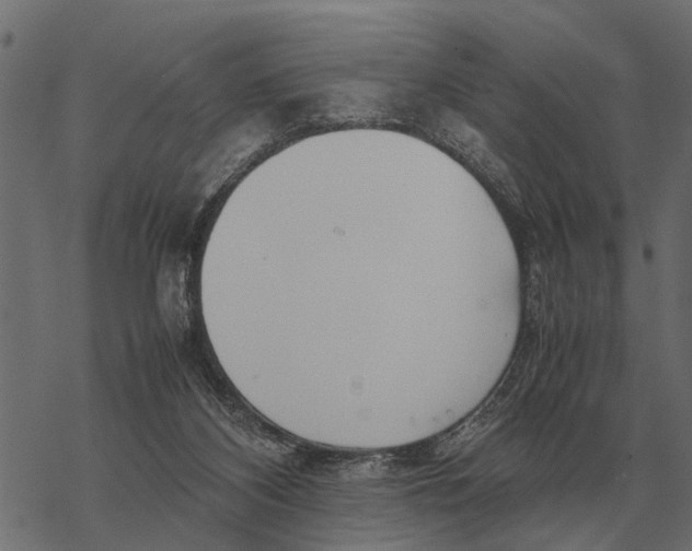 X0000067950116200605041836