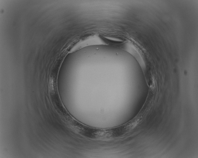 X0000067950117200605041836