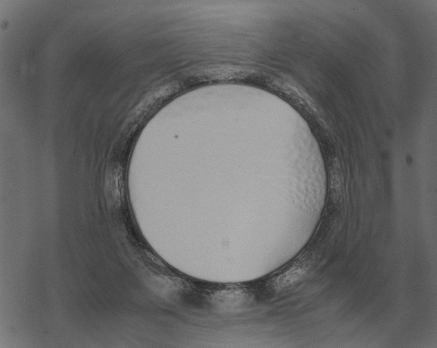 X0000067950119200605041836