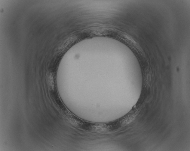 X0000067950121200605041836